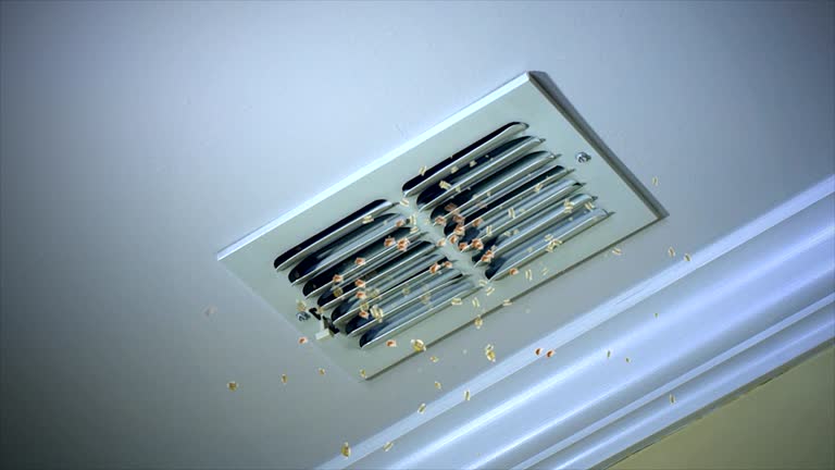 Best Commercial Air Duct Cleaning  in La Crosse, WI