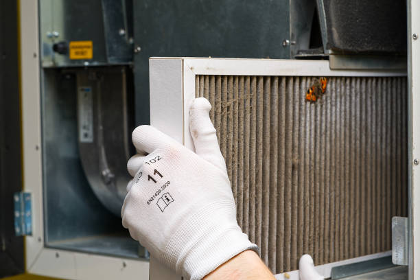 Best Ductwork Cleaning Services  in La Crosse, WI